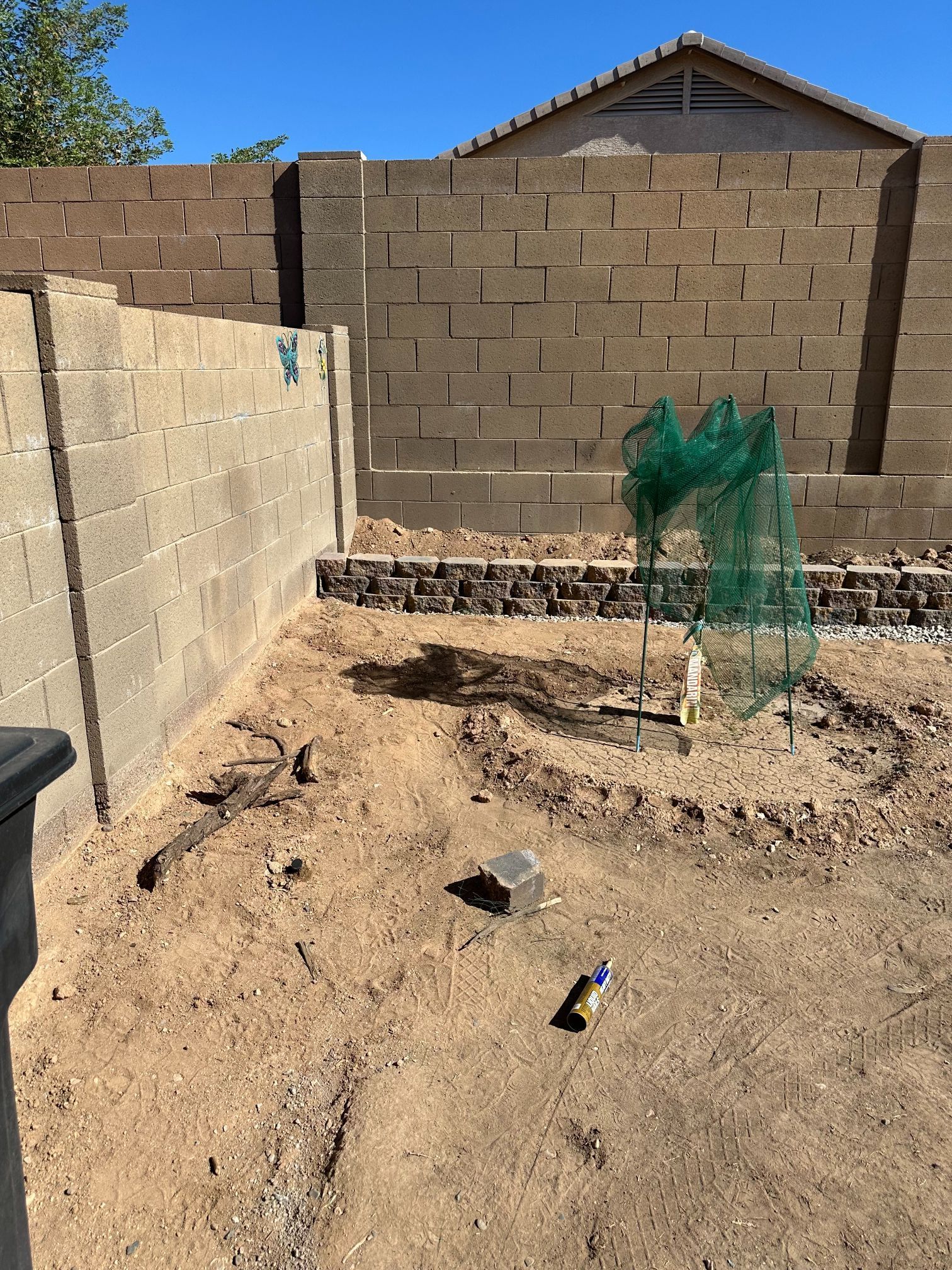 Backyard with dirt ground, block walls, and a small protected plant.