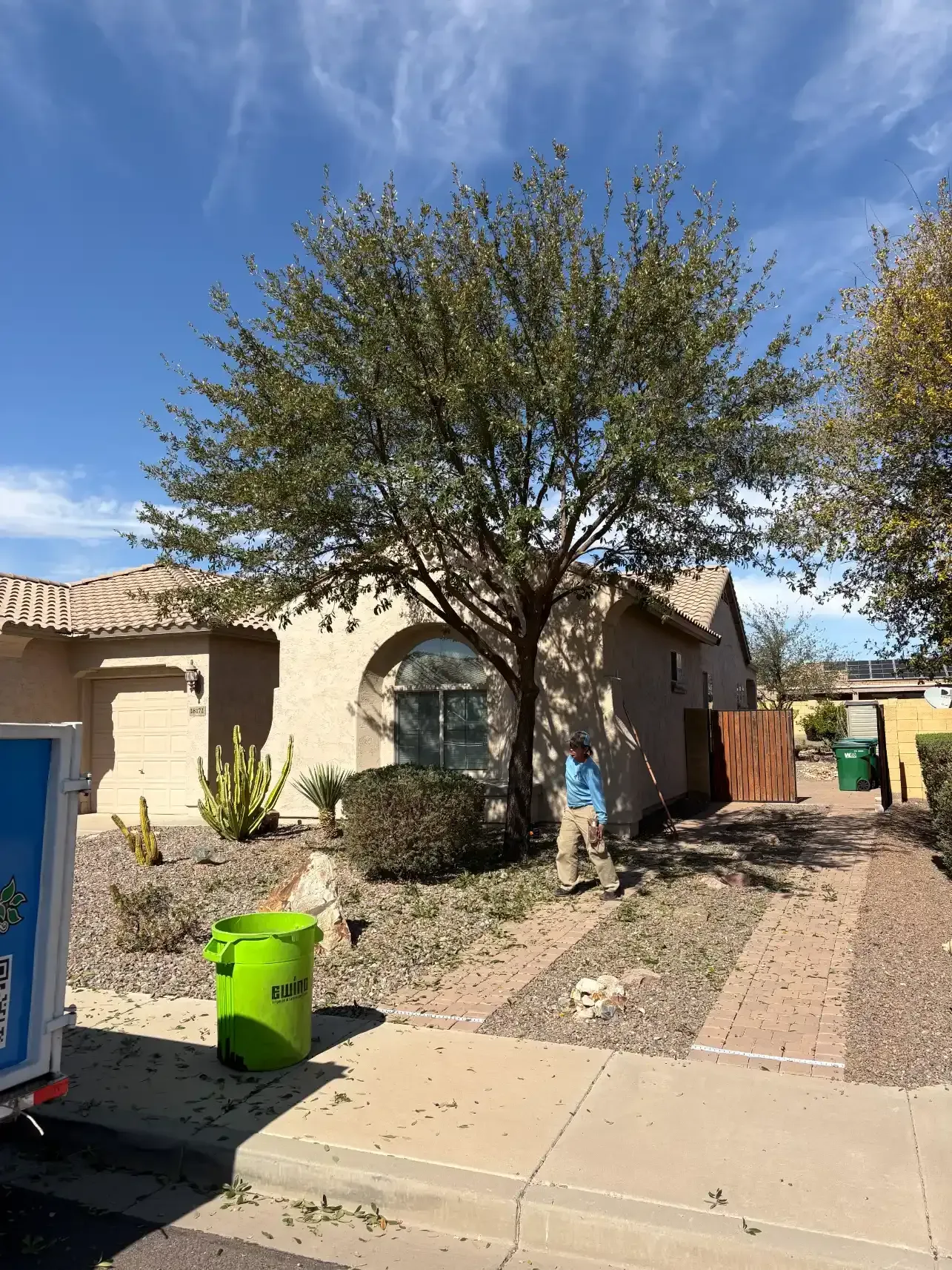 A person trims a tree in front of a house with a sunny sky. Green bin and small landscaping are in the yard.