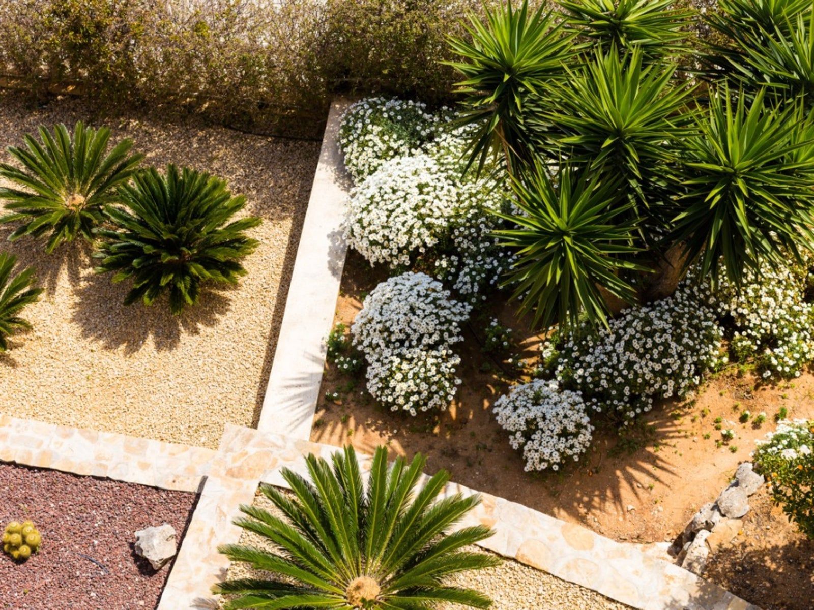 Overhead view of a landscaped garden featuring palm trees, white flowers, and various colored gravel sections.