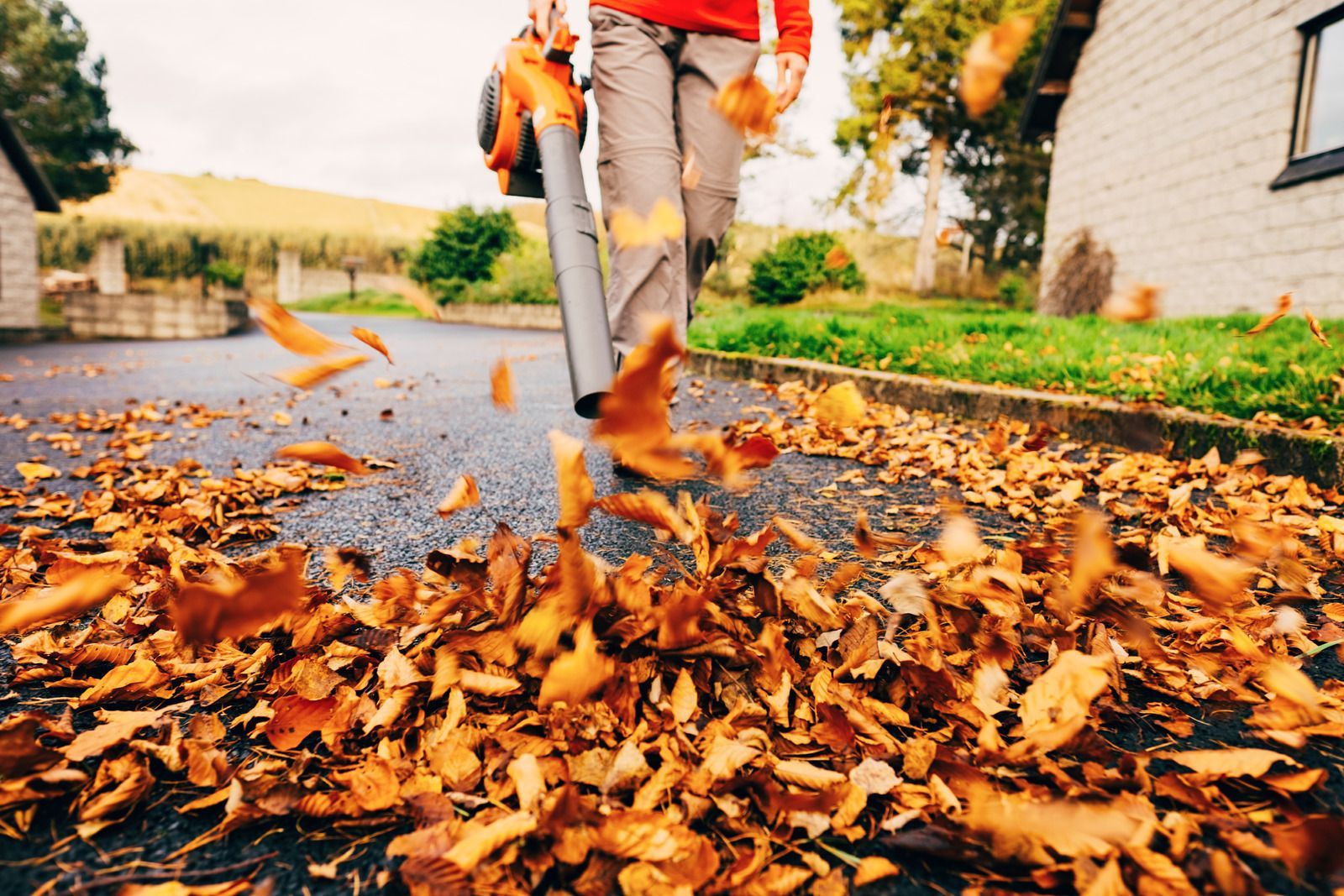 Person in red sweater and gray pants uses a leaf blower on a driveway covered in fallen autumn leaves,