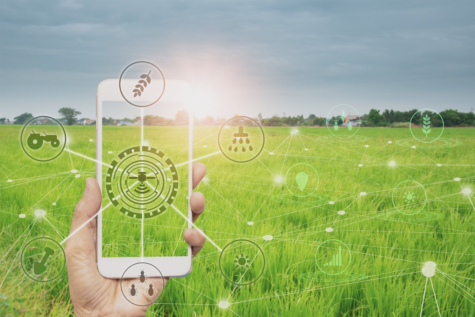 A hand holding a smartphone in a green field, with agricultural technology icons overlayed, suggesting smart farming.