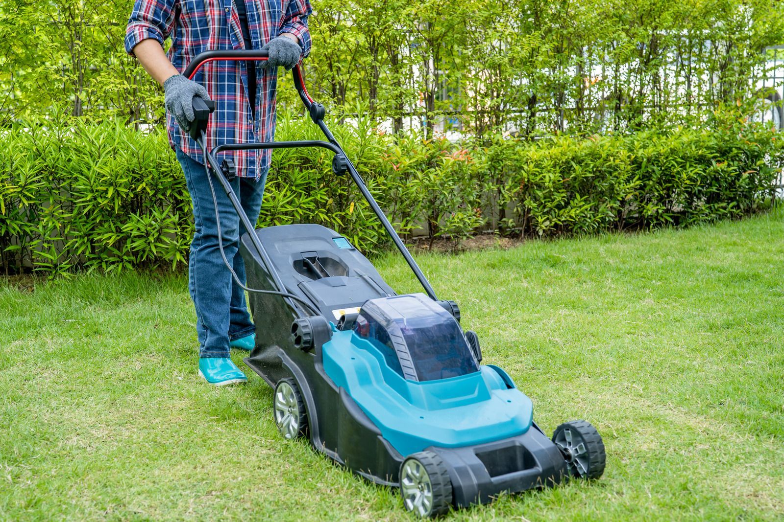 Person mowing a green lawn with a teal and black electric lawnmower, wearing gloves, blue jeans