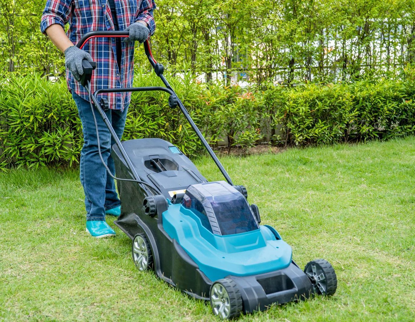Man mowing a green lawn with a teal and black electric lawnmower. He wears a plaid shirt, jeans, gloves, and sneakers.