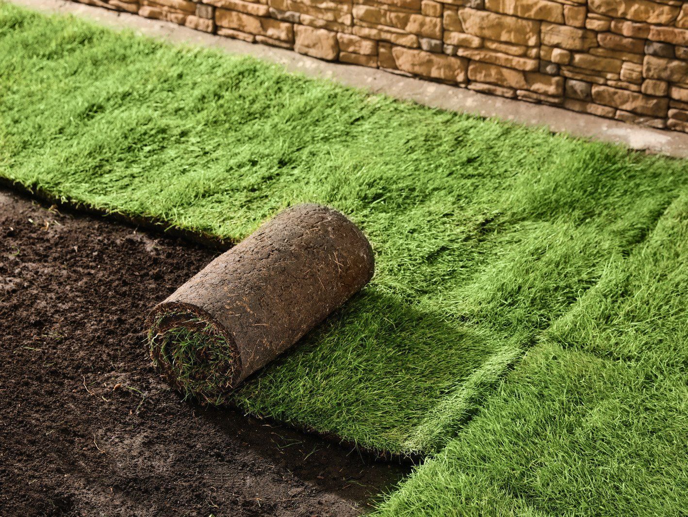 Roll of sod being installed on prepared soil next to a brick wall. Sections of green grass already in place.