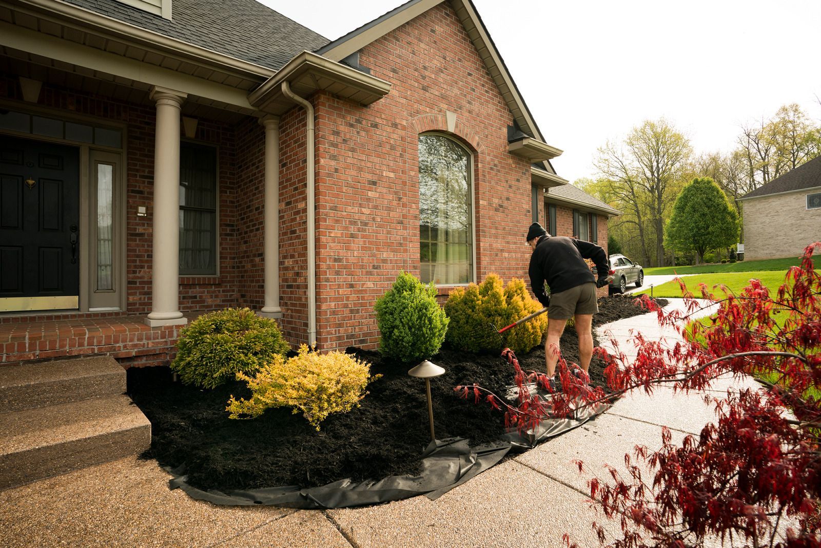Man tending to a landscaped bed in front of a brick house, with various colored shrubs and mulch.