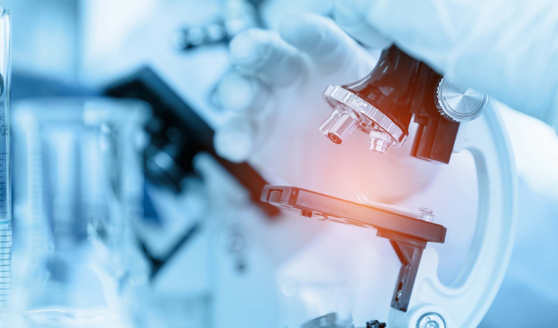 General Contractor and Construction Company.