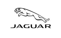 General Contractor and Construction Company.