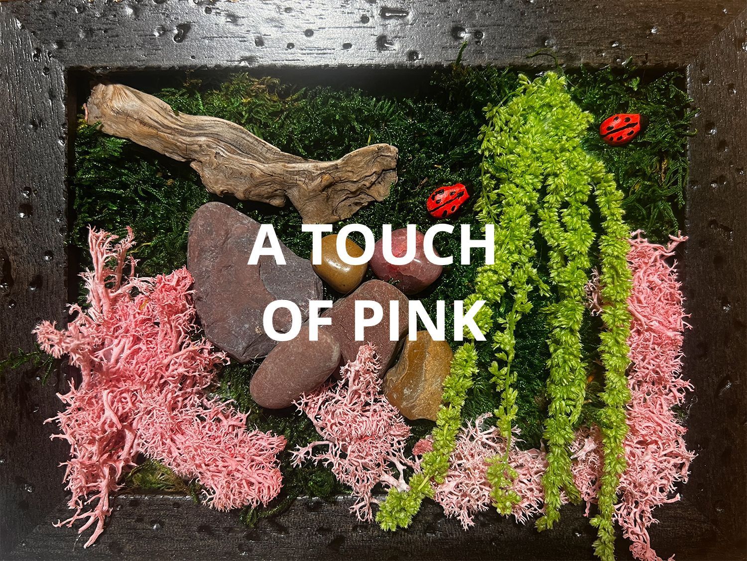 A picture of a garden with the words `` a touch of pink '' written on it.