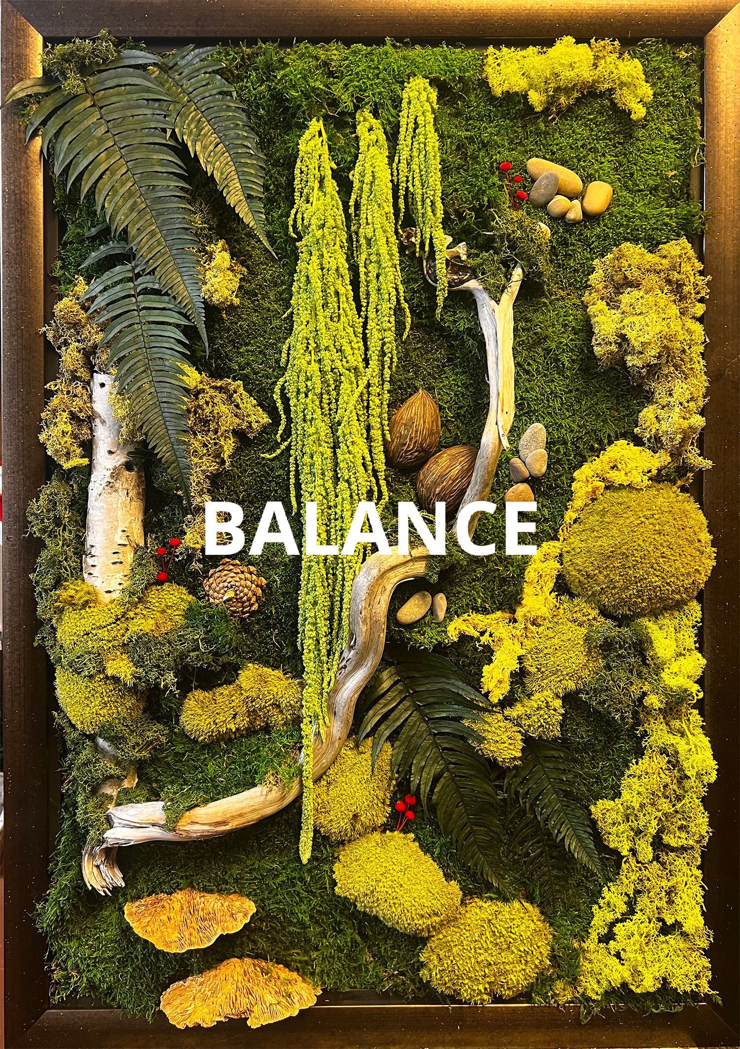 A picture of a forest with the word balance on it