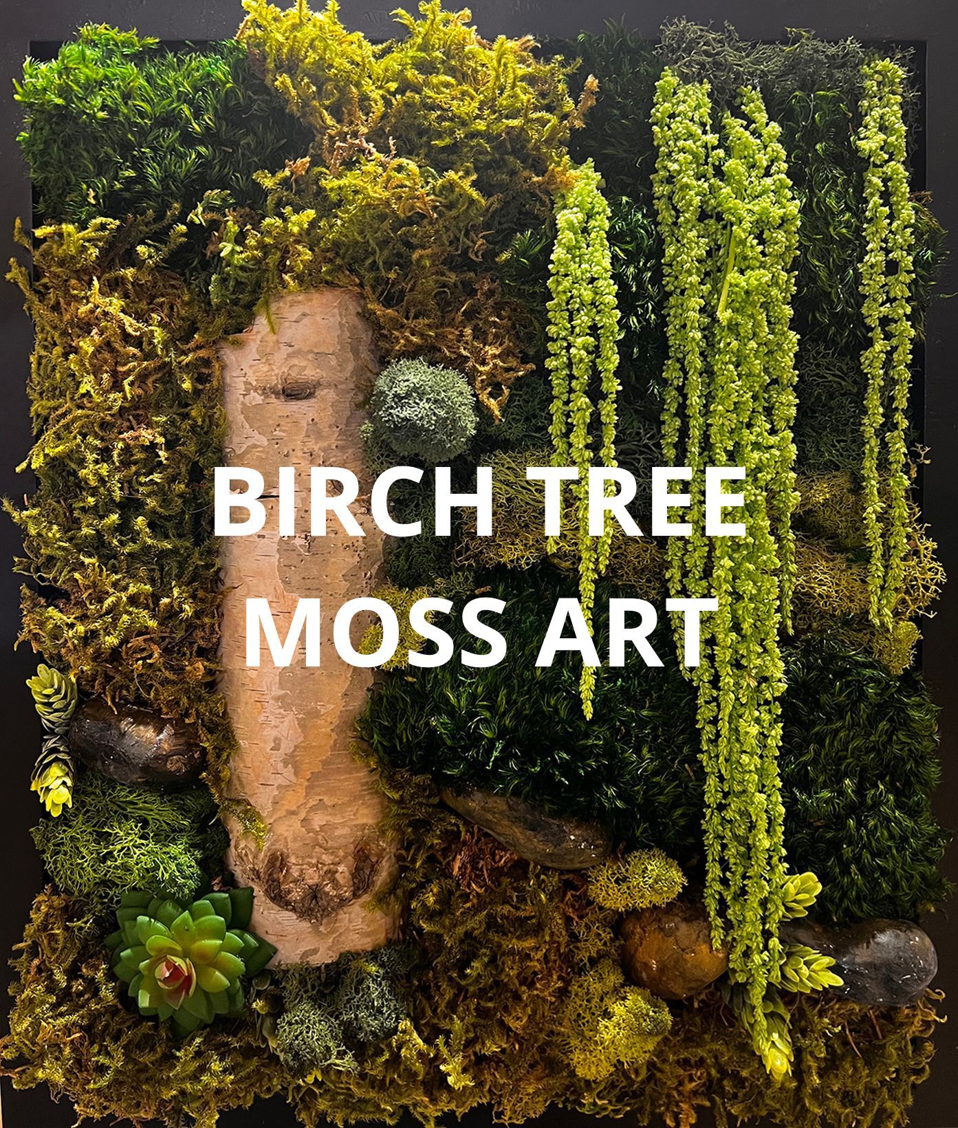 A picture of a moss art with the words birch tree moss art on it.
