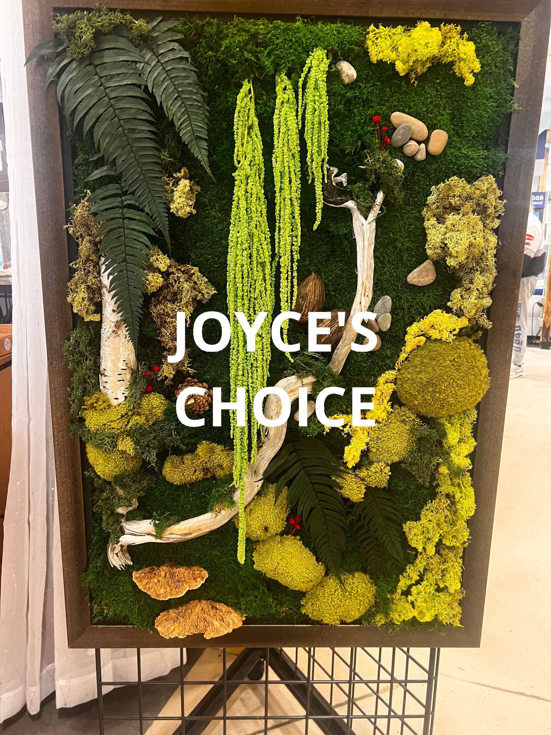 A picture of a forest with the words joyce 's choice on it