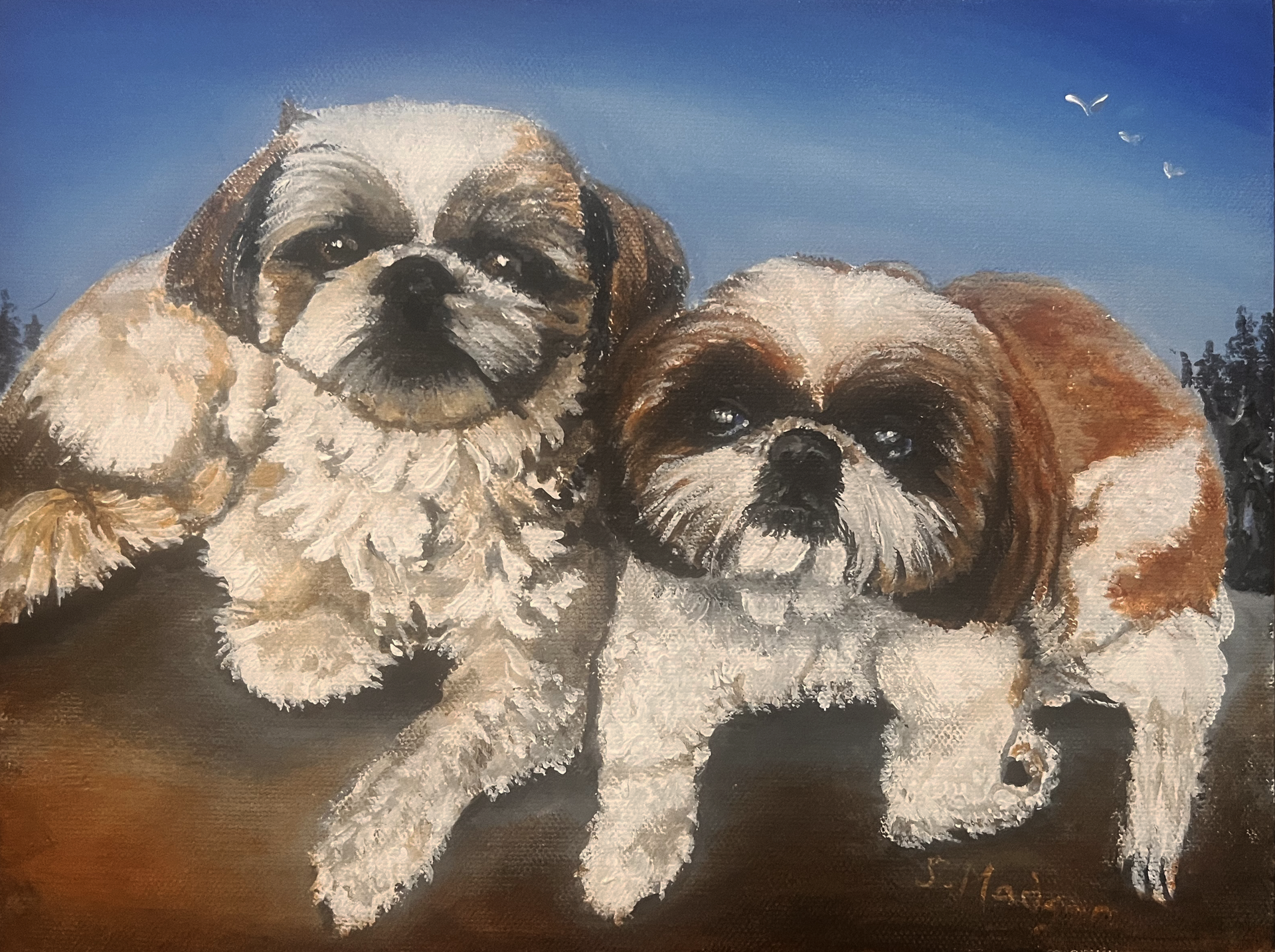 A painting of two shih tzu dogs laying next to each other