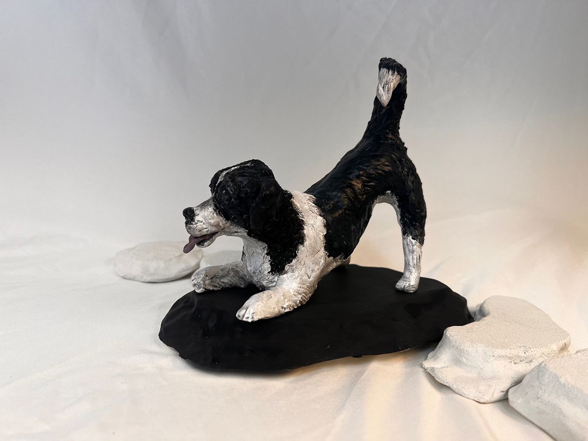 A black and white dog is laying on its back on a rock.