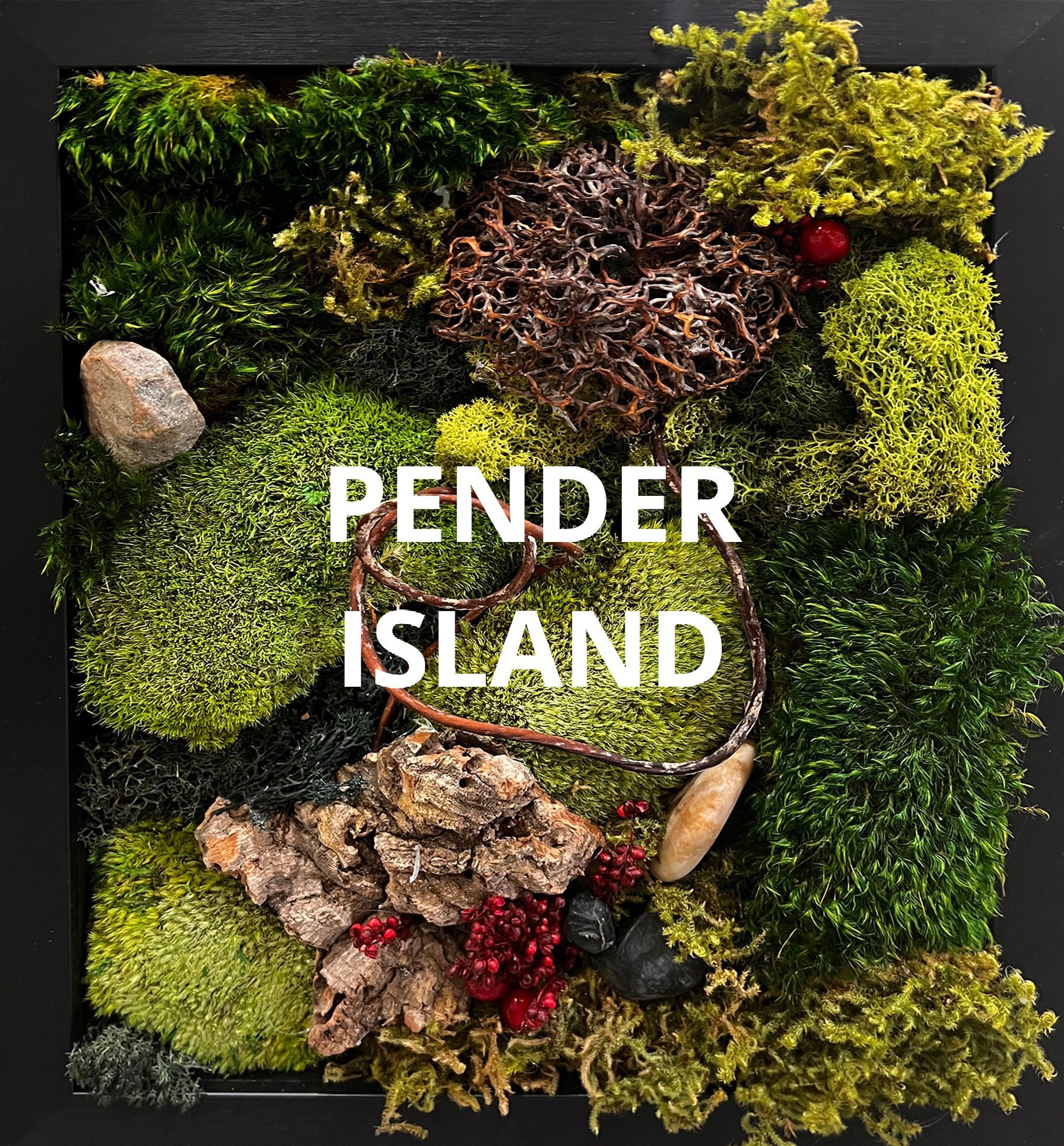 A picture of moss and rocks that says pender island