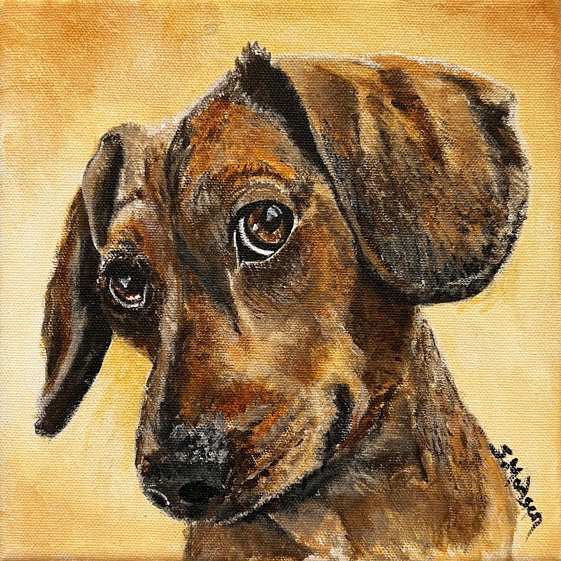 It is a painting of a dachshund looking at the camera.