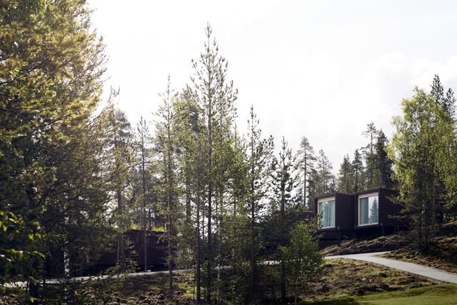 Arctic TreeHouse Hotel