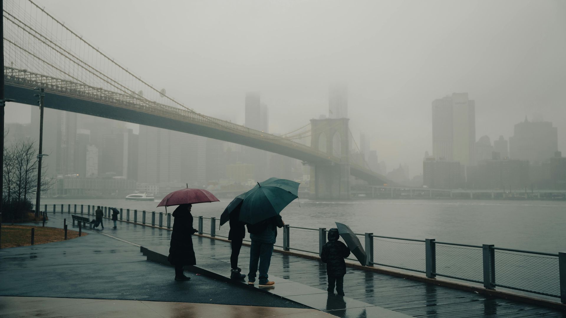 A group of people are walking in the rain with umbrellas.