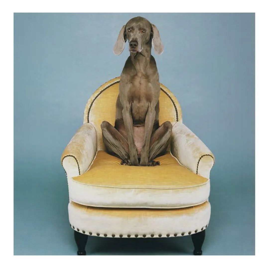 poltroncina rimessa a nuovo