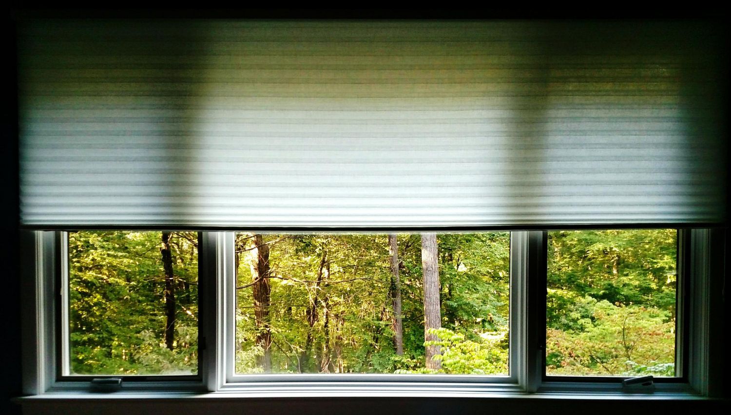 cellular shades