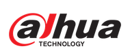 dahua