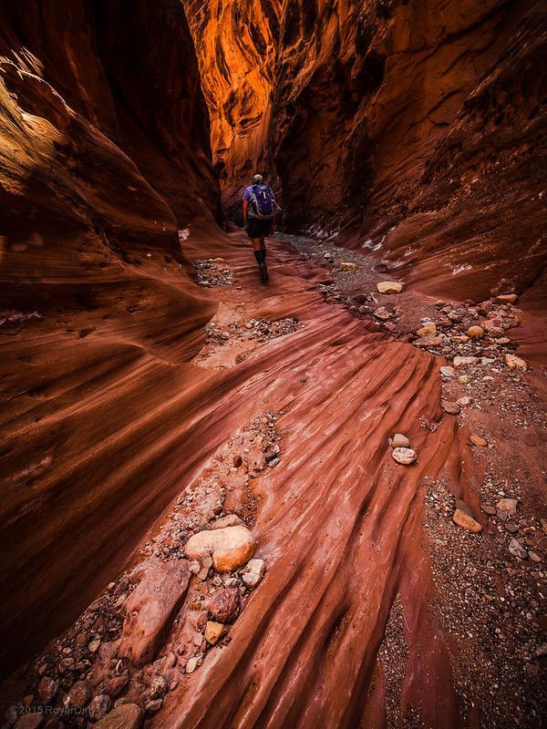 A person hikes through a narrow canyon with striking, red, rippled sandstone walls and a rocky floor.