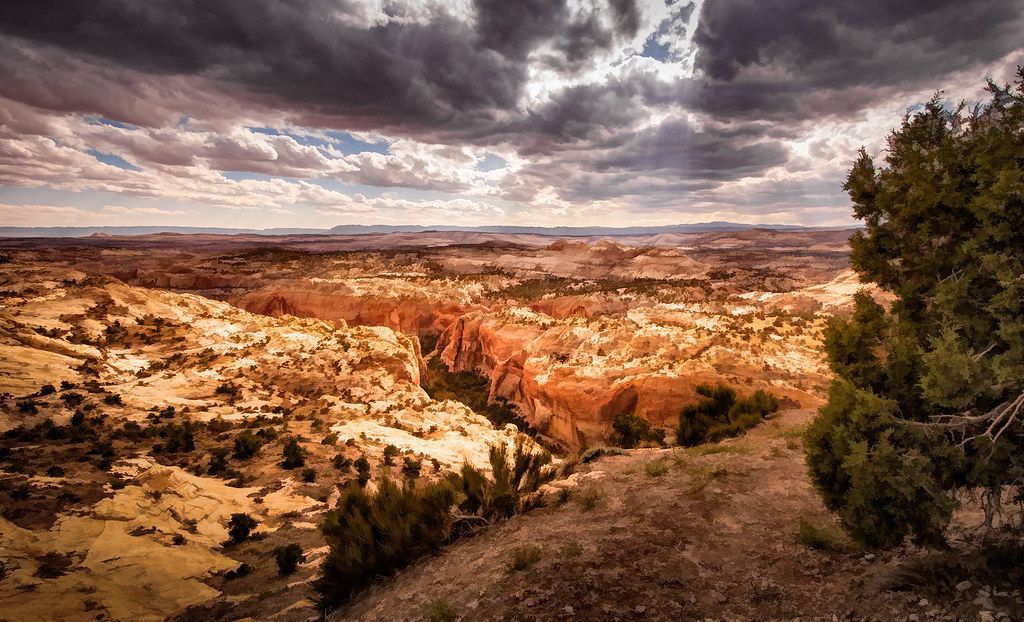 A dramatic, wide-angle view of a desert canyon landscape with red rock formations under a cloudy, overcast sky.