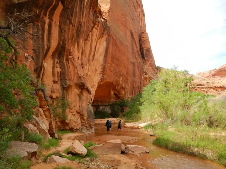 Two hikers walk through a shallow, muddy stream in a canyon lined with tall, orange sandstone cliffs and green brush.