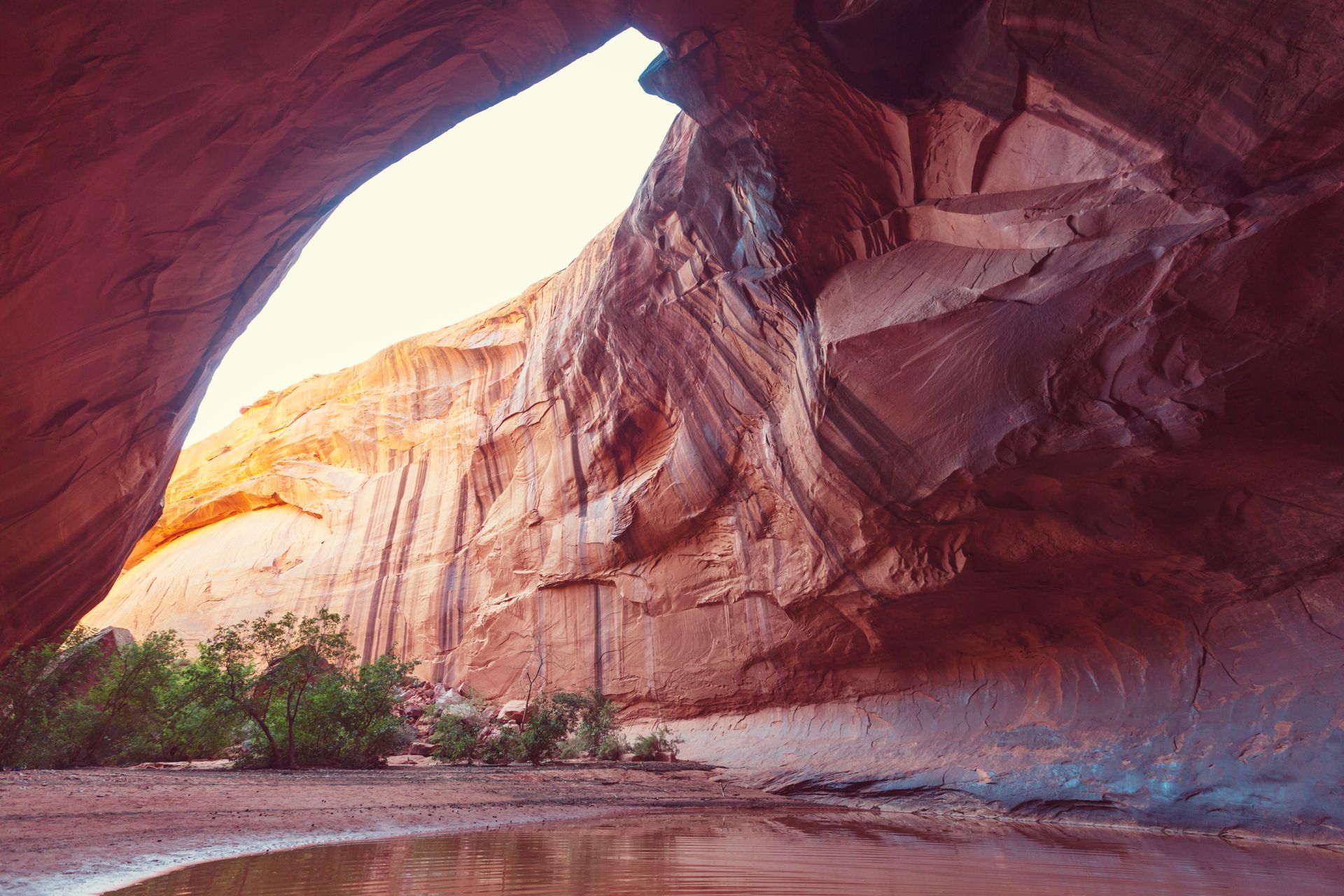 Red sandstone canyon walls loom over a pool of water with green desert vegetation growing at the base.