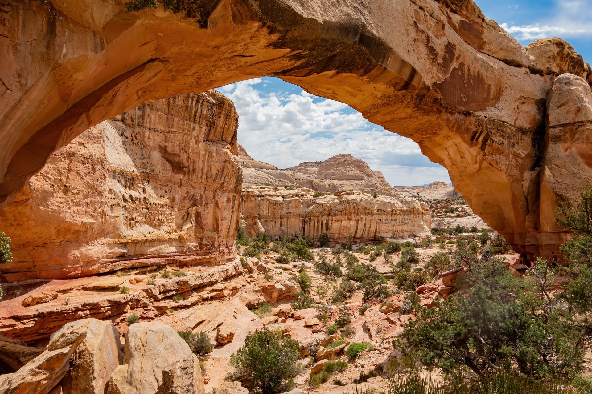 Hickman Bridge at Capitol Reef National Park frames a desert landscape of red rock cliffs, scrub brush, and blue sky.