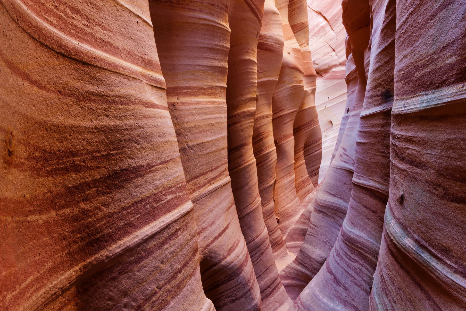 Smooth, undulating walls of a narrow slot canyon with layered, horizontal bands of red, orange, and tan sandstone.