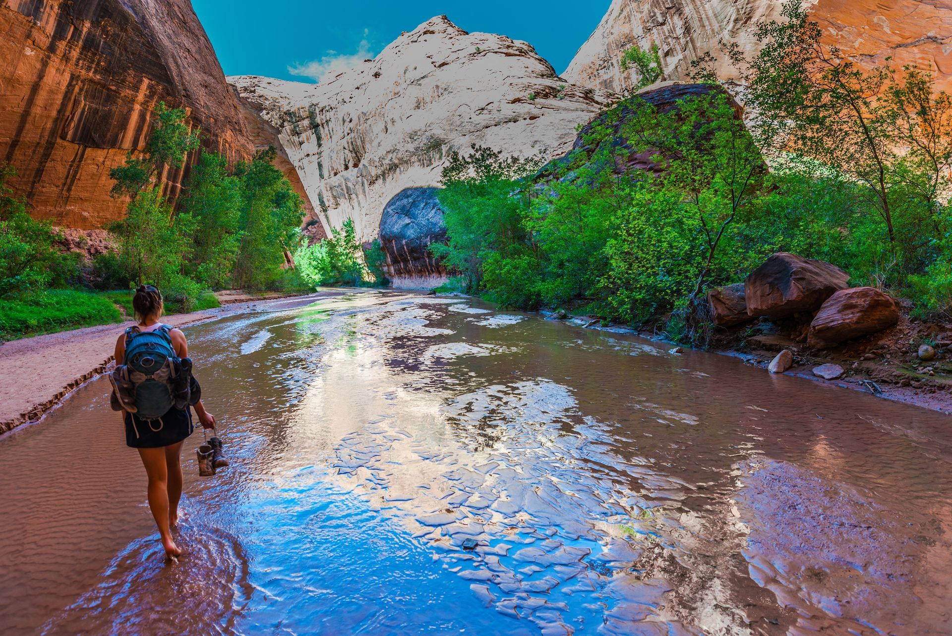 A person with a backpack wading through a shallow, muddy river in a narrow, sunlit canyon with green foliage.