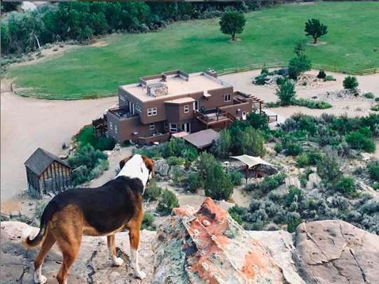 A brown and white dog stands on a rocky ledge overlooking a multi-story desert house surrounded by sagebrush and trees.