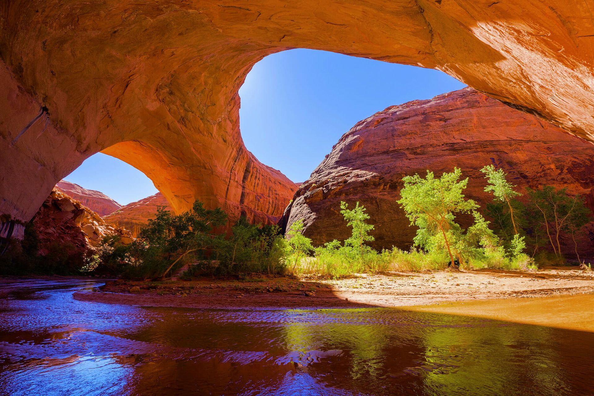 Coyote Natural Bridge in Utah, featuring a large rock arch over a stream with trees along the sandy, sunlit canyon bank.