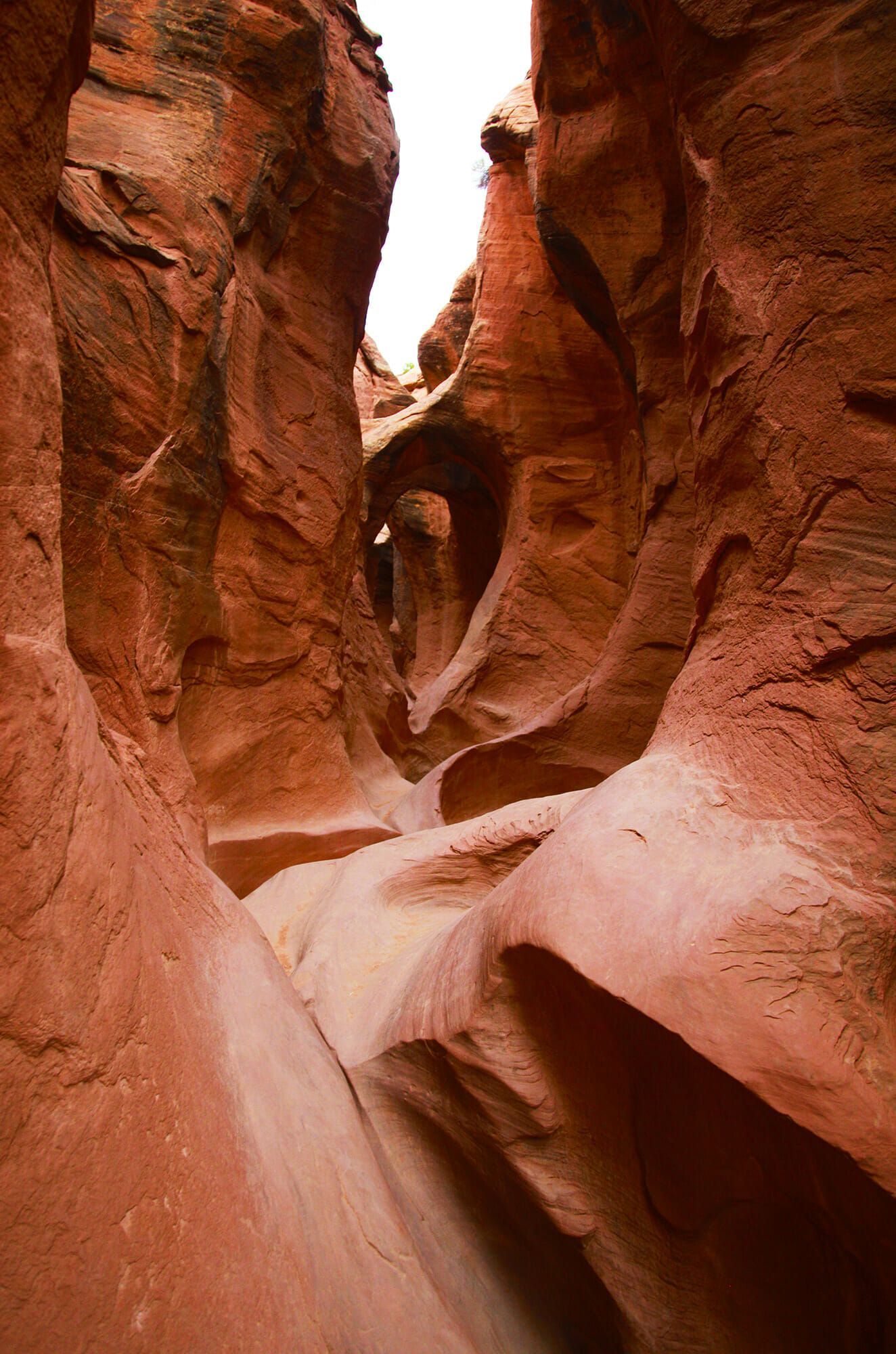 A narrow slot canyon with smooth, undulating walls of red sandstone carved into organic shapes and flowing curves.