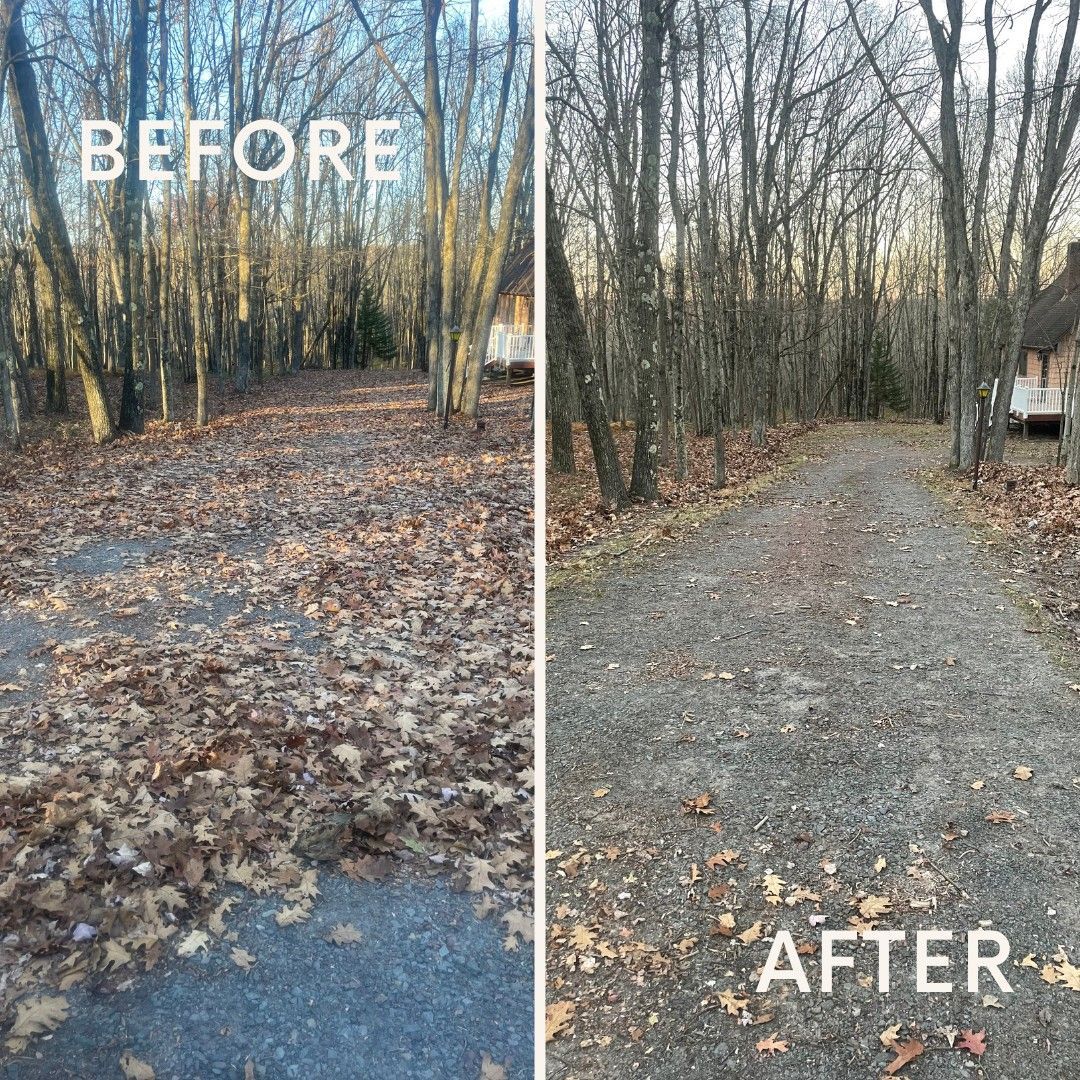A before and after picture of a driveway covered in leaves.