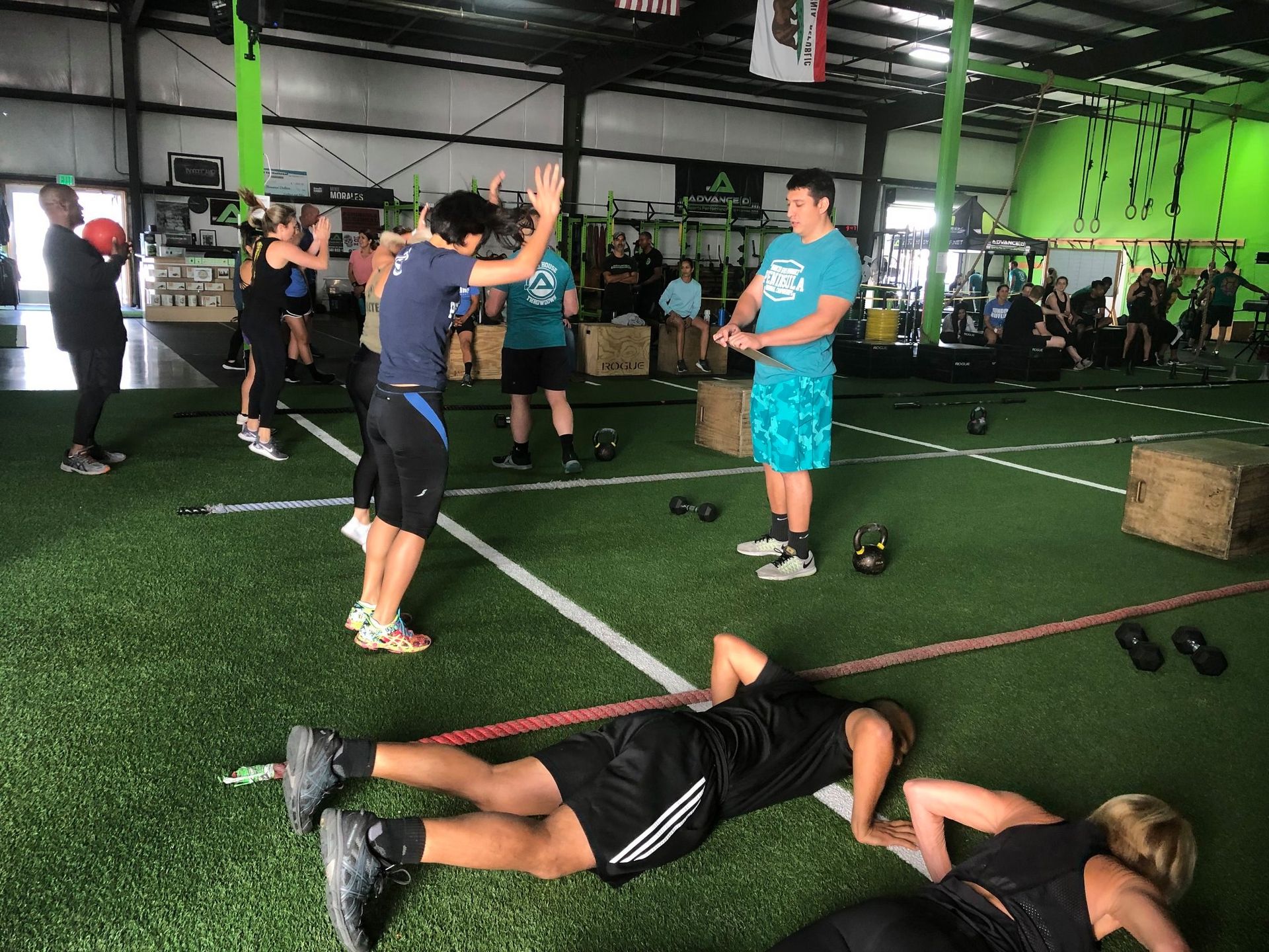 Book a Free Consultation