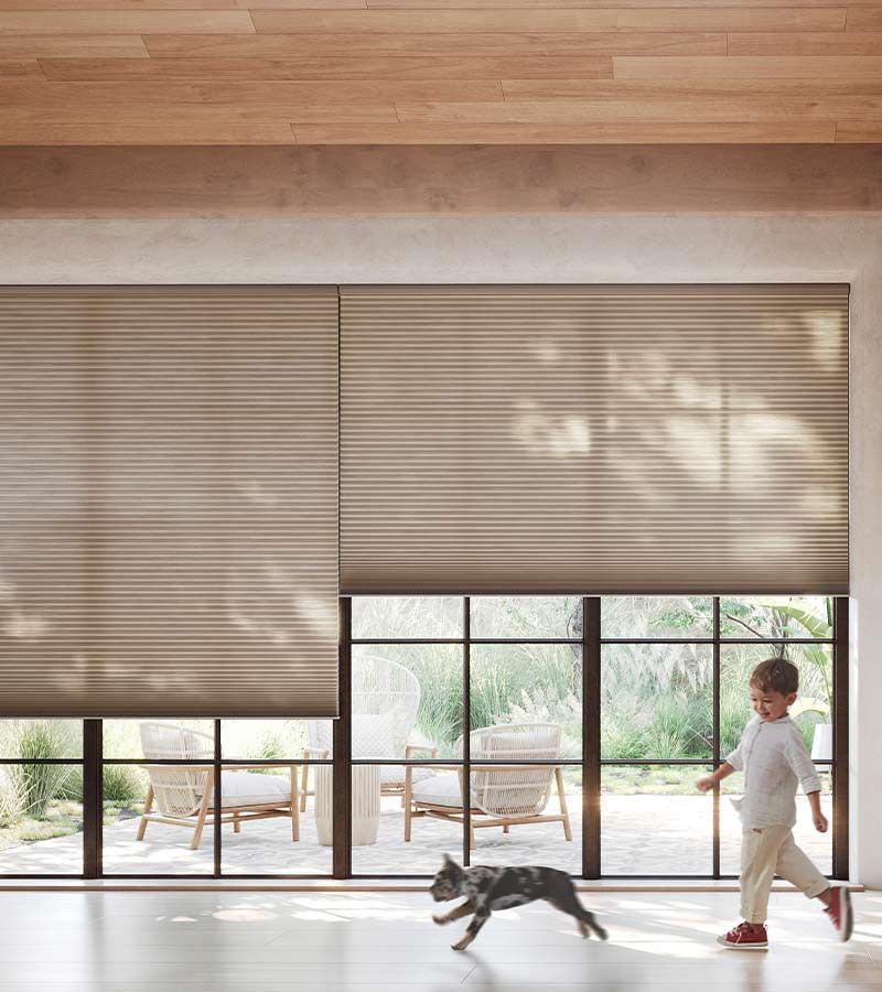 Are There Child and Pet-Safe Blind Options?