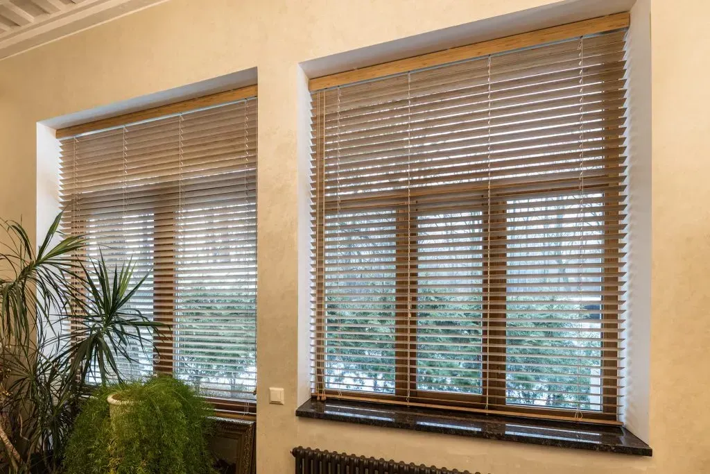 Why Choosing Eco-Friendly Energy-Efficient Blinds Matters