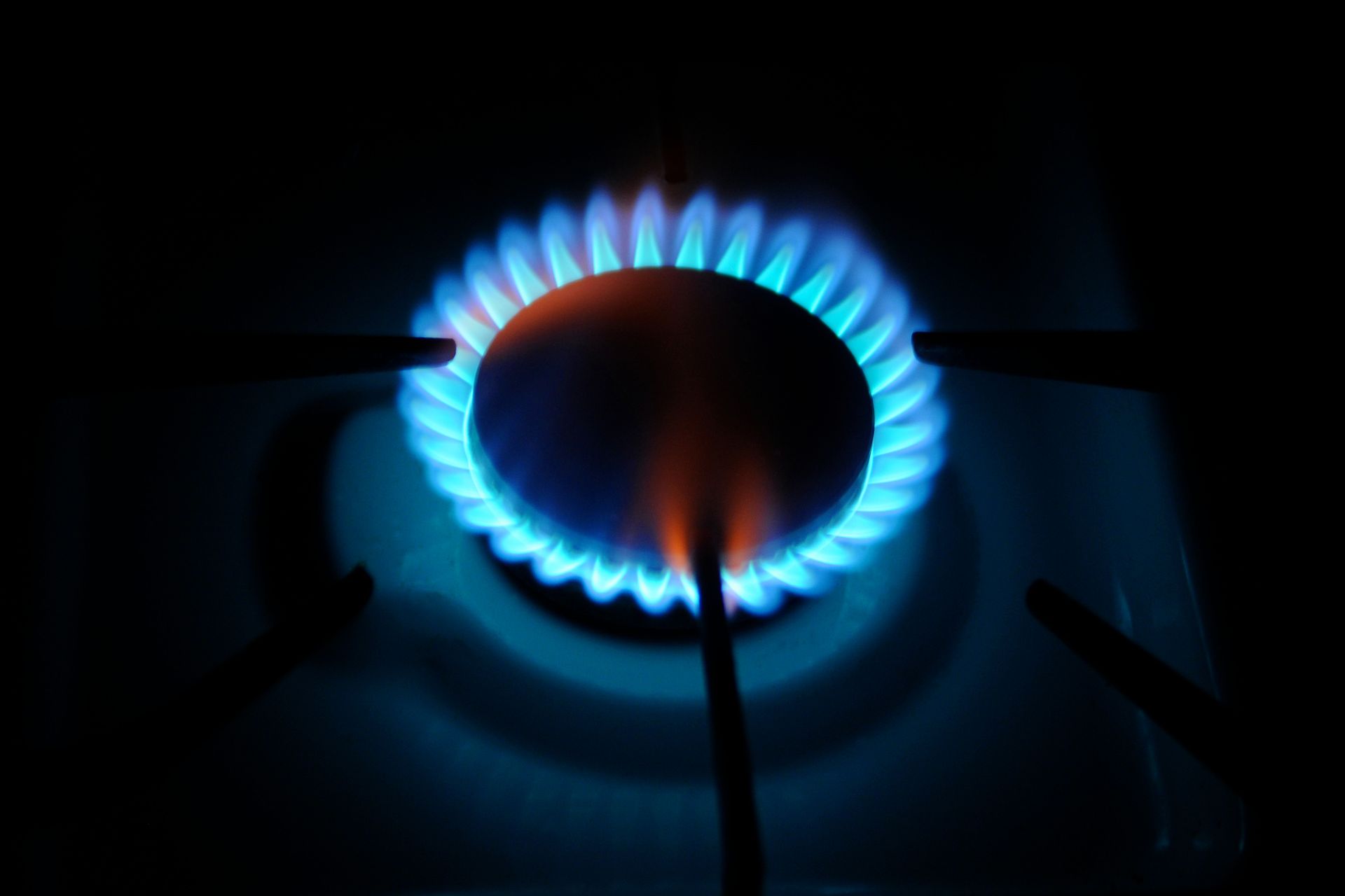 Close-up of a gas stove burner with a steady blue flame ring, highlighting heat.