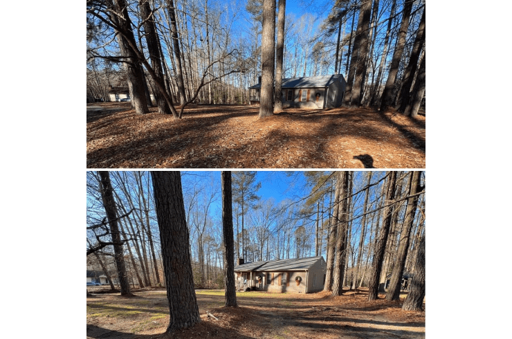 Two forest scenes with a small, rustic building. Trees surround a clearing covered in brown leaves; the sky is blue.