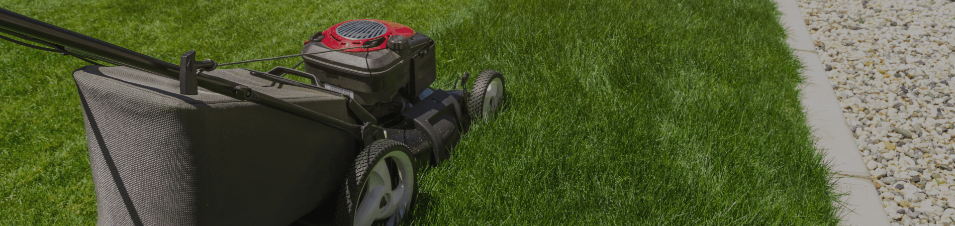 A lawnmower cutting grass near a concrete border. The mower is gray with a red top, and the grass is lush green.