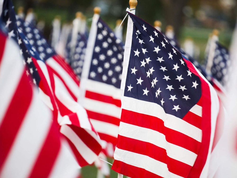 A bunch of american flags are waving in the wind