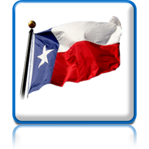 A texas flag with a white star on it