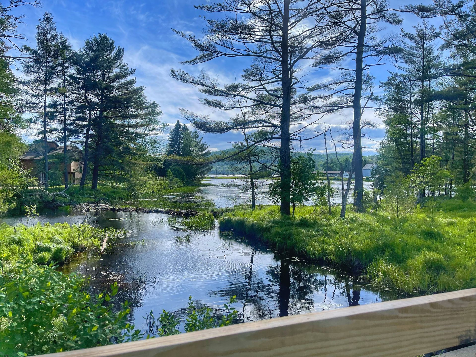 View of lake and trees from the Adirondack Rail Trail