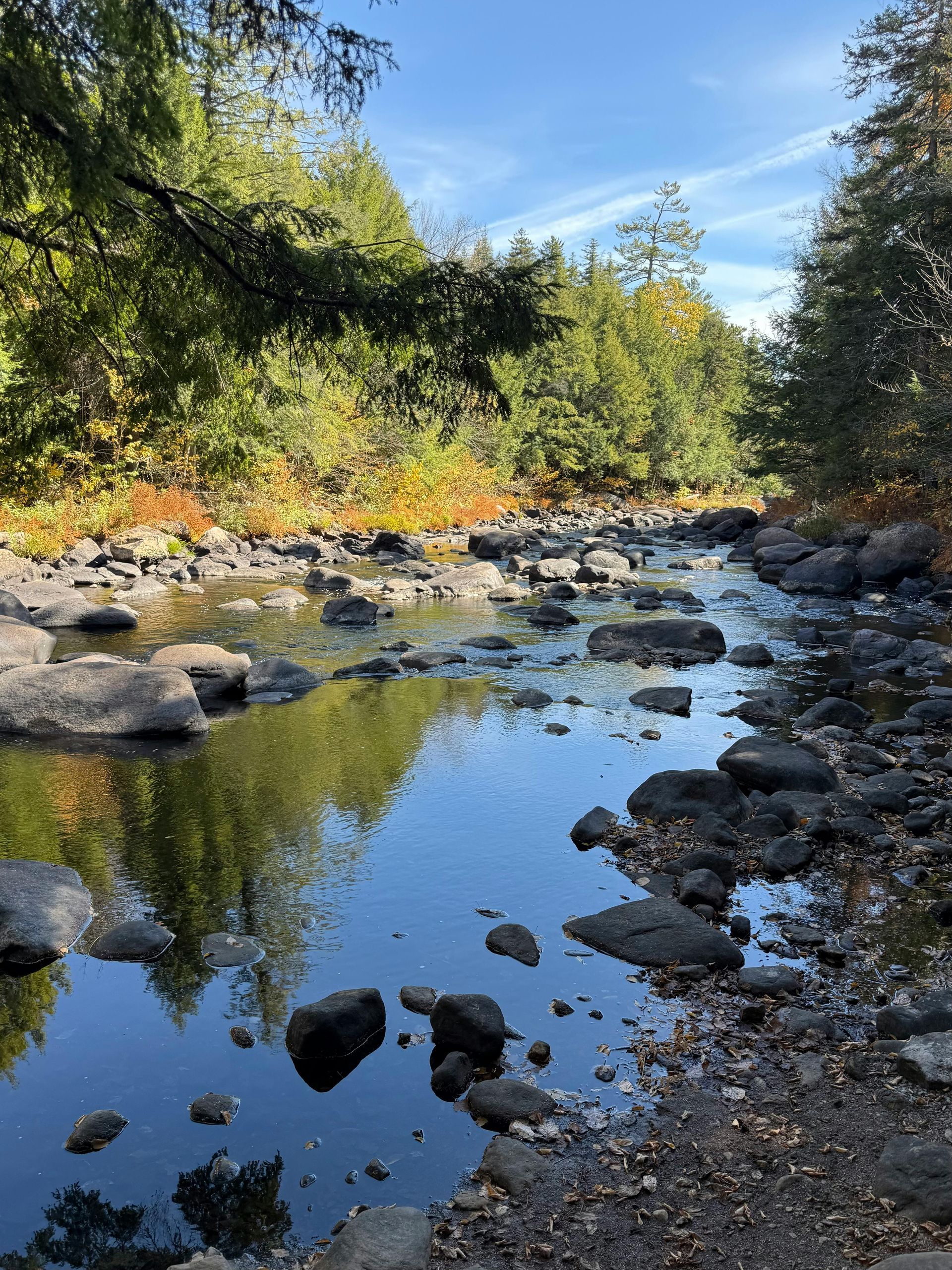 Rocky Adirondack stream surrounded by trees