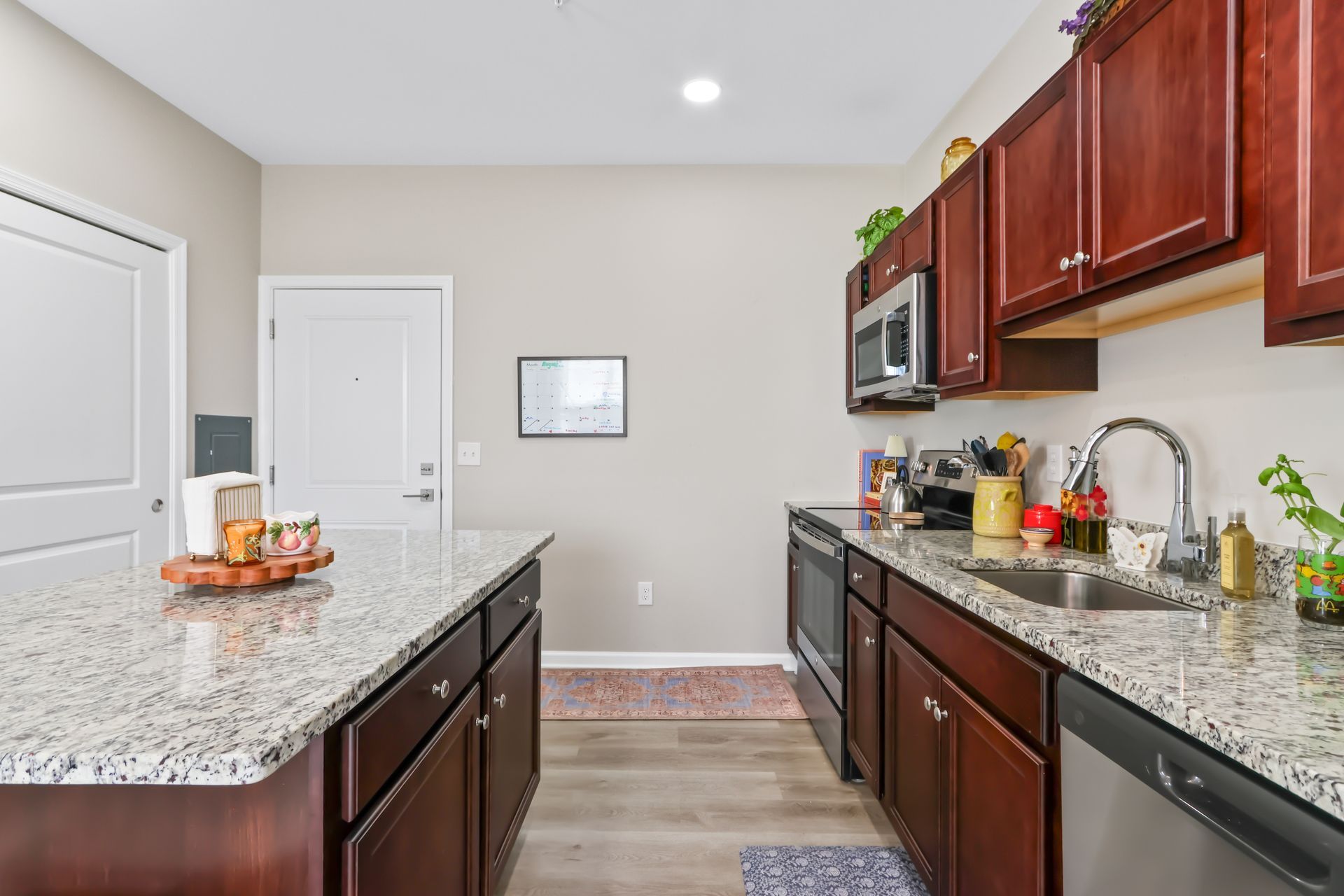 Kitchen with granite countertops, dark cabinets, stainless steel appliances, and a white door.