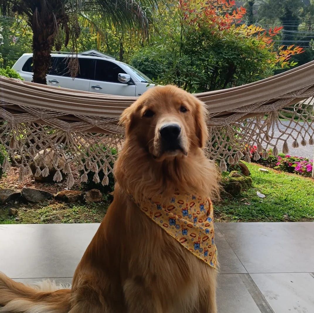 Pousada Três Pinheiros