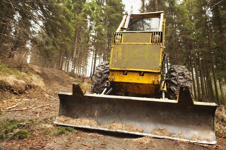 Bulldozer in Forest — Penrith, NSW — Colonial Earthmoving