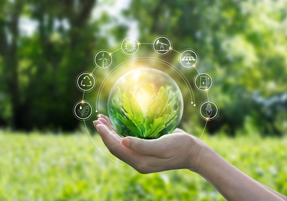 A person is holding a small plant in their hand.