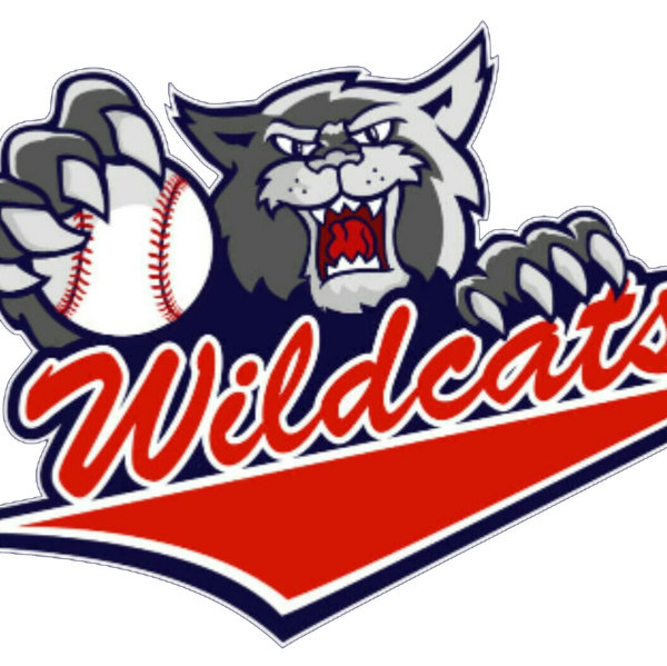 Logo for league